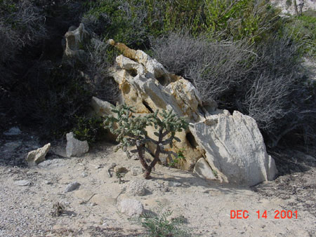 DSC02083