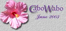 Cabo Wabo June 2003