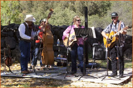 Musicians - Bridgeport Fall Festival