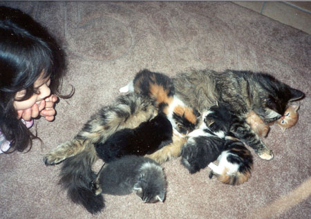 Paquita's Babies