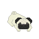 Pug Friend
