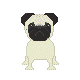 Pug Friends