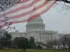 United States Capitol - Washington DC