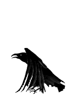 Flying Raven