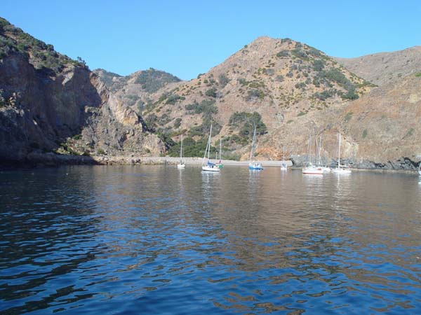 DSC02890