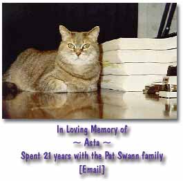 In Loving Memory of Asta - with the Pat Swann family for 21 years!