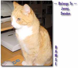 Bamse - Sweden