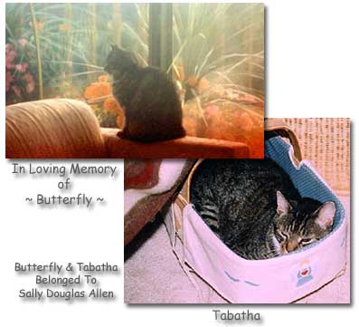 Butterfly & Tabatha - Sally Douglas Allen