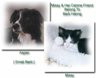 Missy and her canine friend Aspen belong to Barb Haring